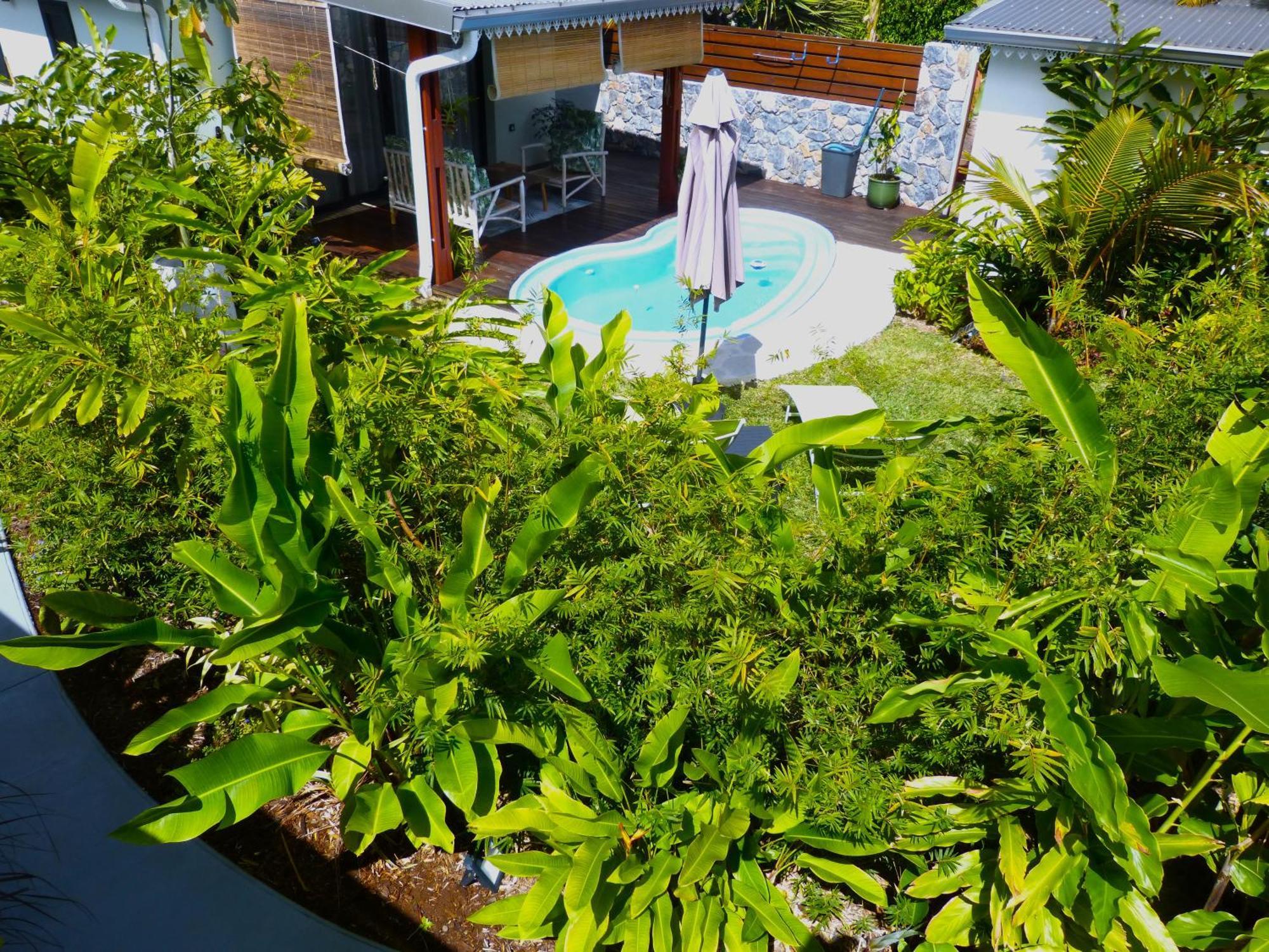 Bungalow Citronnelle Saint Pierre Extérieur photo